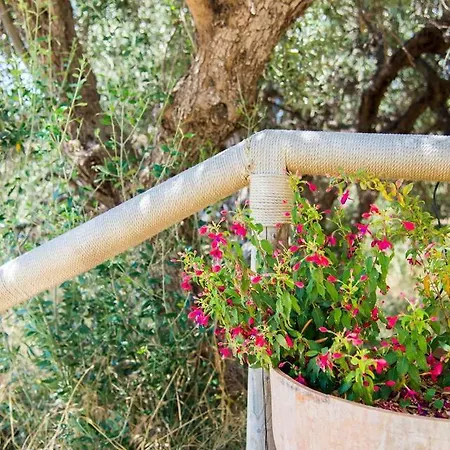 Holiday home Agrilos Sea View House Mirsini (Crete)